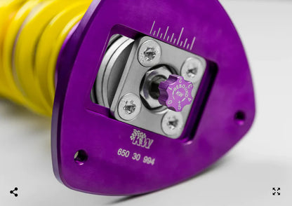 Gepfeffert V2 S3 8Y (GY) Quattro Ø 55mm (Mit Sturzdomlager)