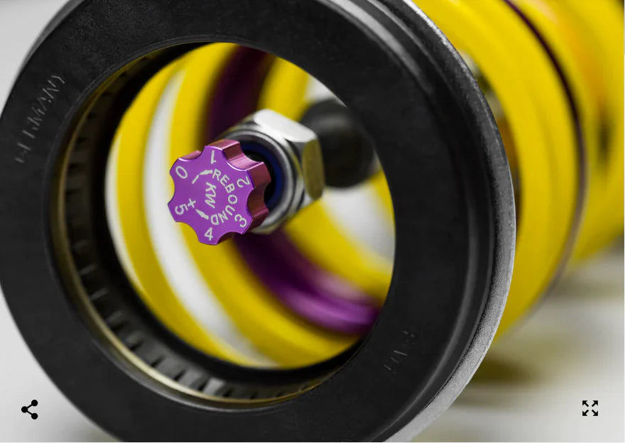 Gepfeffert V3 4motion / Quattro Ø 55mm (Mit Sturzdomlager)
